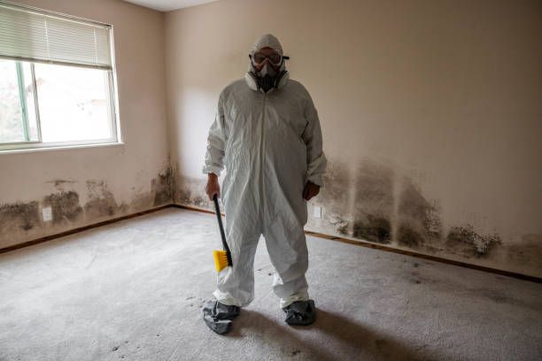 Best Best Mold Removal Companies  in Buckhead Ridge, FL